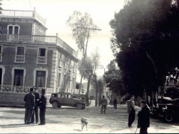 Mula Antigua serie-2